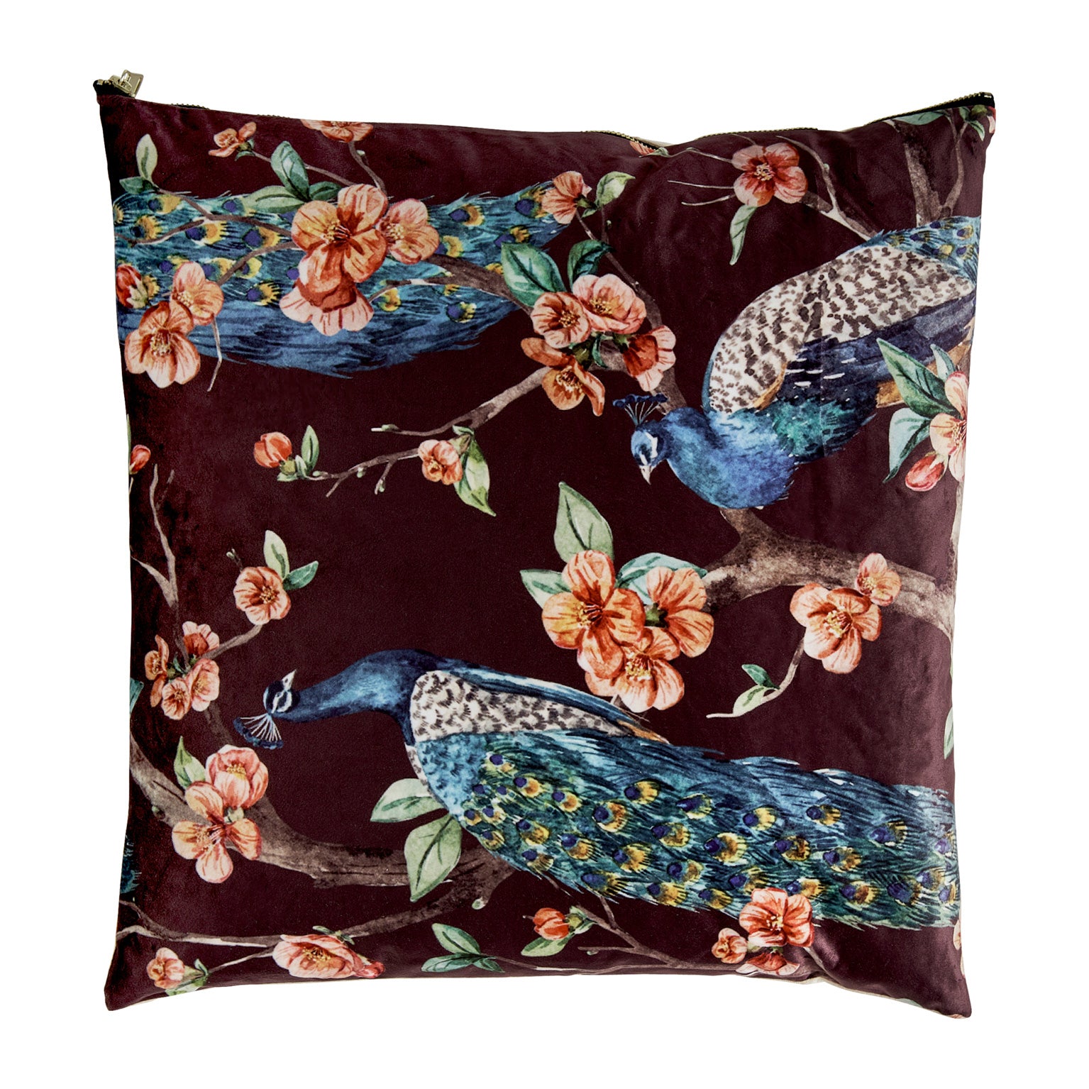 ALE CUSHION